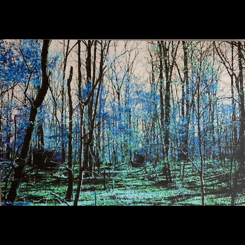 Digital Art photo on canvas